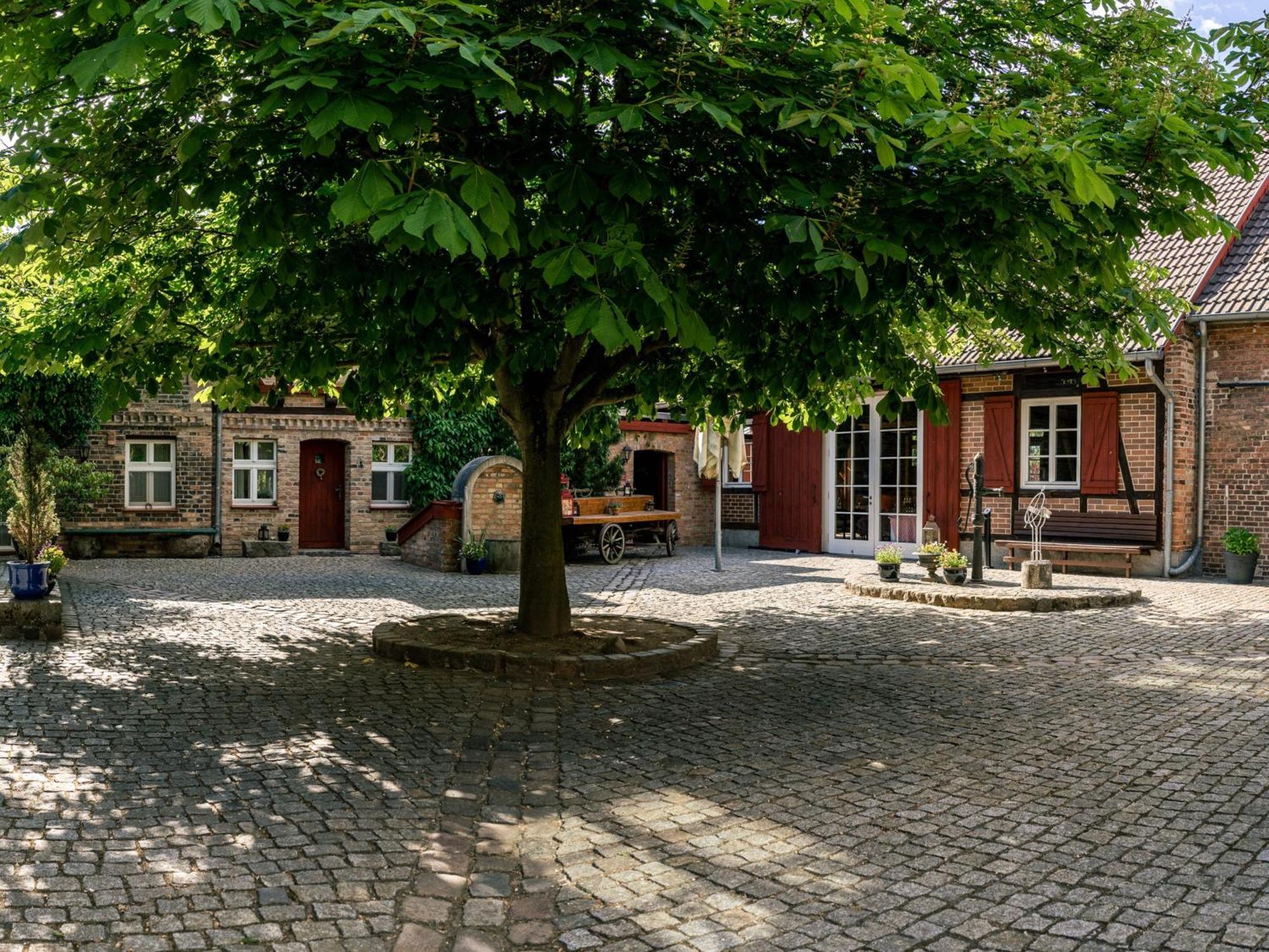Landhaus Alte Schmiede 니에메크 외부 사진
